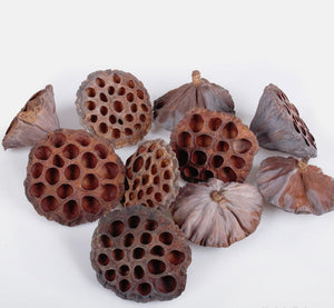 Dried Lotus