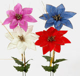 Poinsettias on stems