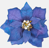 Navy blue poinsettia