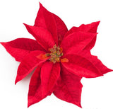 XL Velvet Poinsettia  red